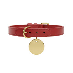 High quality red leather dog collar with gold tag stylish pet supplies ideal for dogs design focus retail product pet fashion accessories for dogs excellent product photography