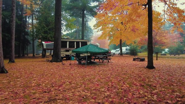 Beautiful view in camp site woods with Autumn colors in Adirondack Upper New York State USA