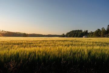 Swedish countryside