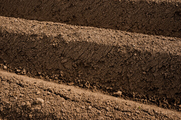 Close-up of multiple parallel ridges of freshly plowed soil in an agricultural field, showing rough earthy texture and granular structure
