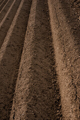 Close-up of plowed soil ridges in an agricultural field showing detailed earthy texture and furrow...