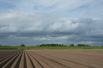 Freshly tilled farmland with long parallel furrows beneath a dramatic cloudy sky and bordered by a...