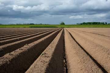 Freshly plowed farmland with deep parallel furrows leading toward a green grassy horizon under a...