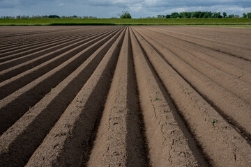 Freshly plowed agricultural field with deep parallel furrows leading toward a green horizon under a...
