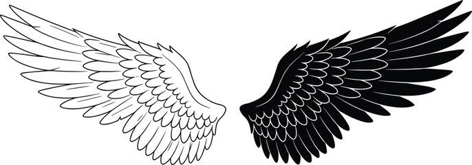 
Angel and demon wings vector — symmetrical black and white feathered wings design, fantasy illustration, spiritual symbolism, tattoo art