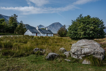 sheep in the mountains