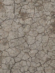 A detailed view of cracked and dried earth, showcasing a textured natural background.