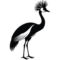 crowned crine vector