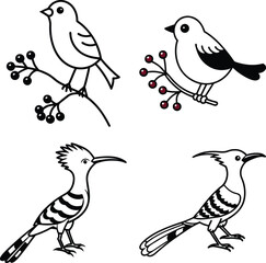 A lovely Long-tailed Rosefinch (Uragus sibiricus, family comprising finches) at mealtime.
