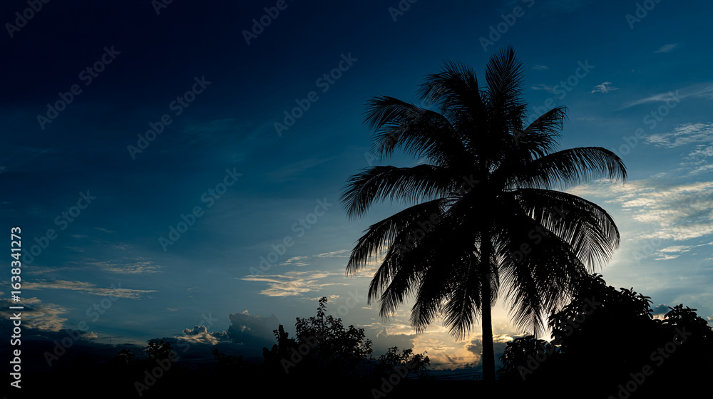 Poster silhouette of a palm tree against a twilight sky with clouds and a hint of the setting sun