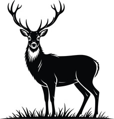 Fototapeta premium Majestic stag standing in grass deer antlers
