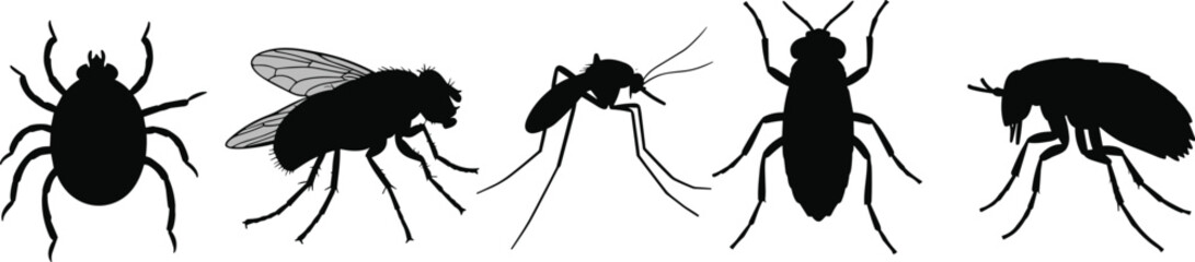 
Silhouettes of common pests including tick, fly, mosquito, aphid, and flea, isolated on white background, vector insect icons