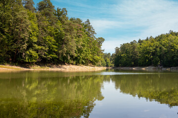 lake and forest