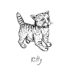 Cat (kitty) small cute stretching, side view, doodle black ink drawing, woodcut vector