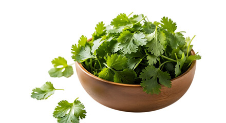 Fresh cilantro in a wooden bowl isolated on transparent background, capturing its vibrant green leaves and aromatic essence for culinary applications