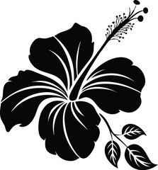 Black Hibiscus Flower vector icon Hibiscus Flower vector silhouette
