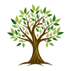 Fototapeta premium vector tree with green leaves