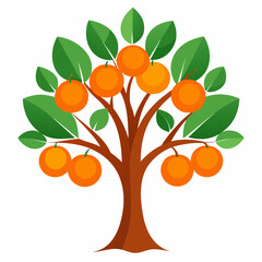 orange tree with fruit