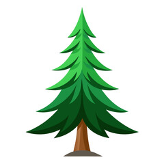 christmas tree isolated on white