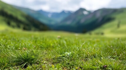 Green grass field extending to mountains, ideal for travel posters and environmental visuals