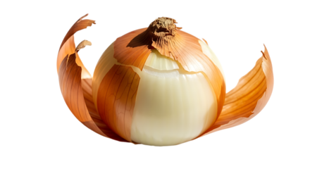 Closeup of a fresh onion with its outer layers partially peeled away, isolated on a transparent background, revealing the bulbs texture and color variations