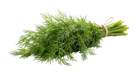 Aromatic dill herb tied in a bundle, isolated on transparent background this fresh ingredient adds a unique flavor to various dishes, making it a popular choice for cooking