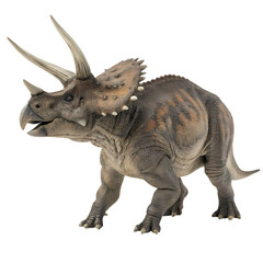 Fototapeta premium Realistic Triceratops Dinosaur Illustration