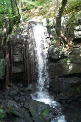 Beautiful hidden woodland waterfall with moss-covered rocks in the summer light of Derbyshire,...
