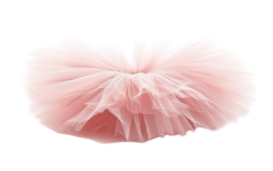 Ballet tutu isolated on white background, png