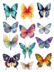 watercolor of various butterflies clip art set on a white background