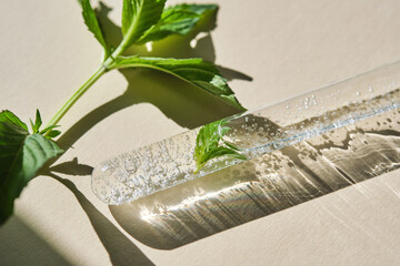 A test tube with the texture of serum or other cosmetics with mint and herbs.