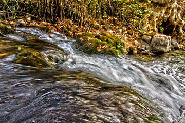 Mountain stream in Banias Nature Reserve, northern Israel
