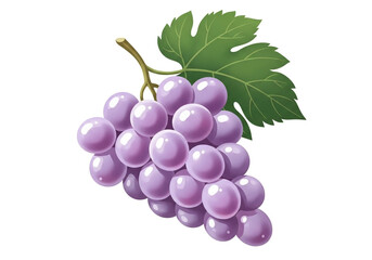 Fototapeta premium A bunch of purple grapes is depicted, centered in the image. The grapes are a light, lavender purple, with white highlights