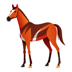 vector illustration of a horse