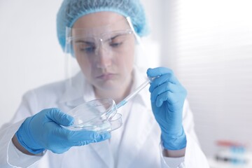 Scientist working with sample in Petri dish in laboratory, selective focus