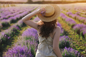 Woman with straw hat and beautiful flowers in lavender field, back view