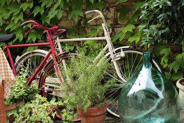 Bicycles on an Istrian street (Croatia)