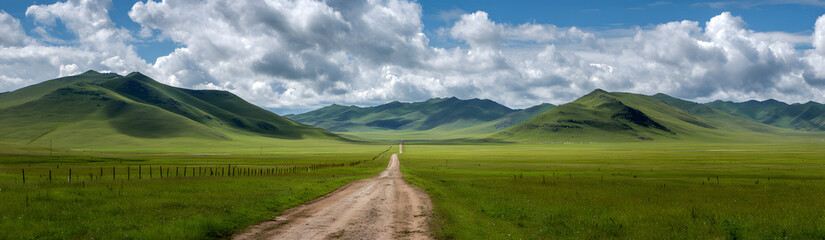Fototapeta premium Endless road along green grassland
