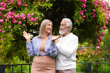 Naklejka premium Lovely senior couple near bush of pink roses outdoors