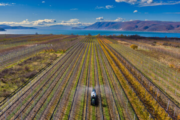 Apple orchard in Arnissa, Greece, with tractor spraying trees