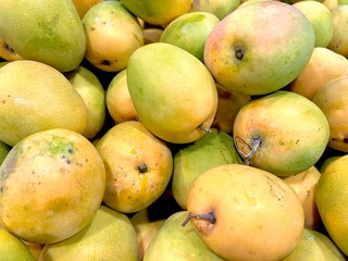 Gedong Gincu mango. An Indonesian tropical fruit from Majalengka, West Java. With its fragrant...