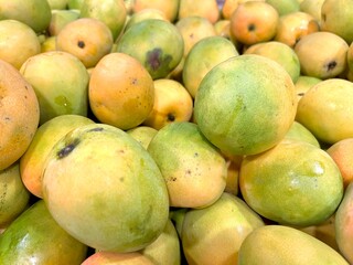 Gedong Gincu mango. An Indonesian tropical fruit from Majalengka, West Java. With its fragrant...
