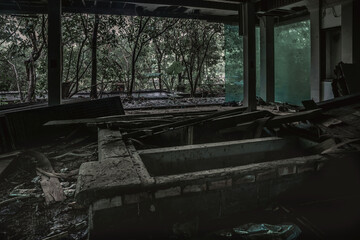 Obraz premium An abandoned bathroom in an old hotel. The walls are covered with moss. A gloomy atmosphere.