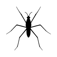 Design a black silhouette of a Pond Skater white background clean vector shape
