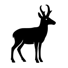 Fototapeta premium Design a black silhouette of a Pronghorn white background clean vector shape