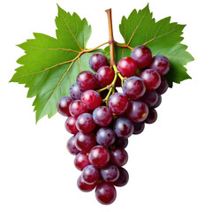 Fototapeta premium Fresh and vibrant bunch of red grapes with green leaves isolated on transparent background