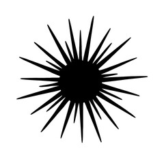 Obraz premium Design a black silhouette of a Sea Urchin white background clean vector shape