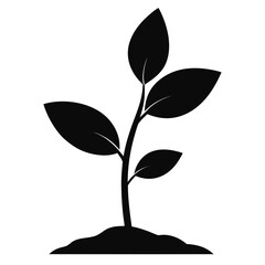 Young Green Sapling Vector