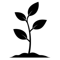 Young Green Sapling Vector