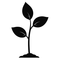 Young Green Sapling Vector